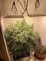 IMG_0770.jpeg