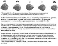 IMG_7969.jpeg