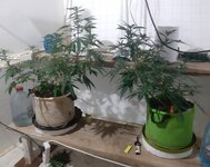 20251029_163058.jpg