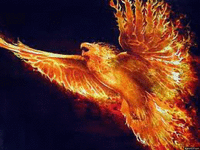 frW9222gI.gif
