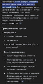 IMG_1725.jpeg