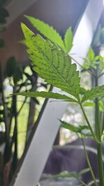 20260522_113345.jpg