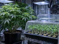 1790698854047.png