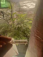 IMG_20261004_124302.jpg