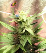 1000135538.jpg