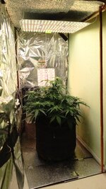 1000135541.jpg