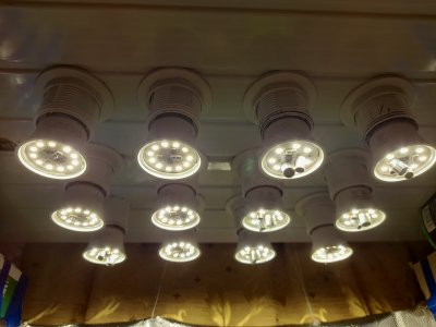 20220801_195256.jpg