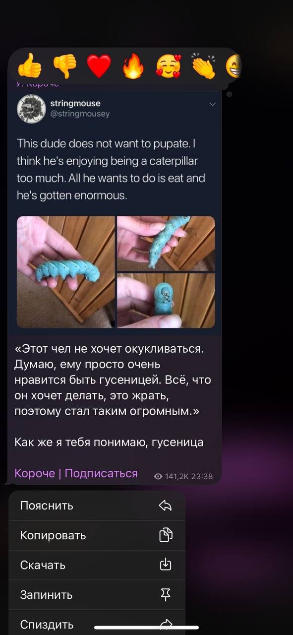 AE7CC02A-5D40-4F23-A5DA-3EF0894682C3.jpeg