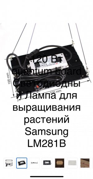 IMG_0442.jpeg IMG_0442.jpeg