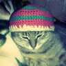 Jahve